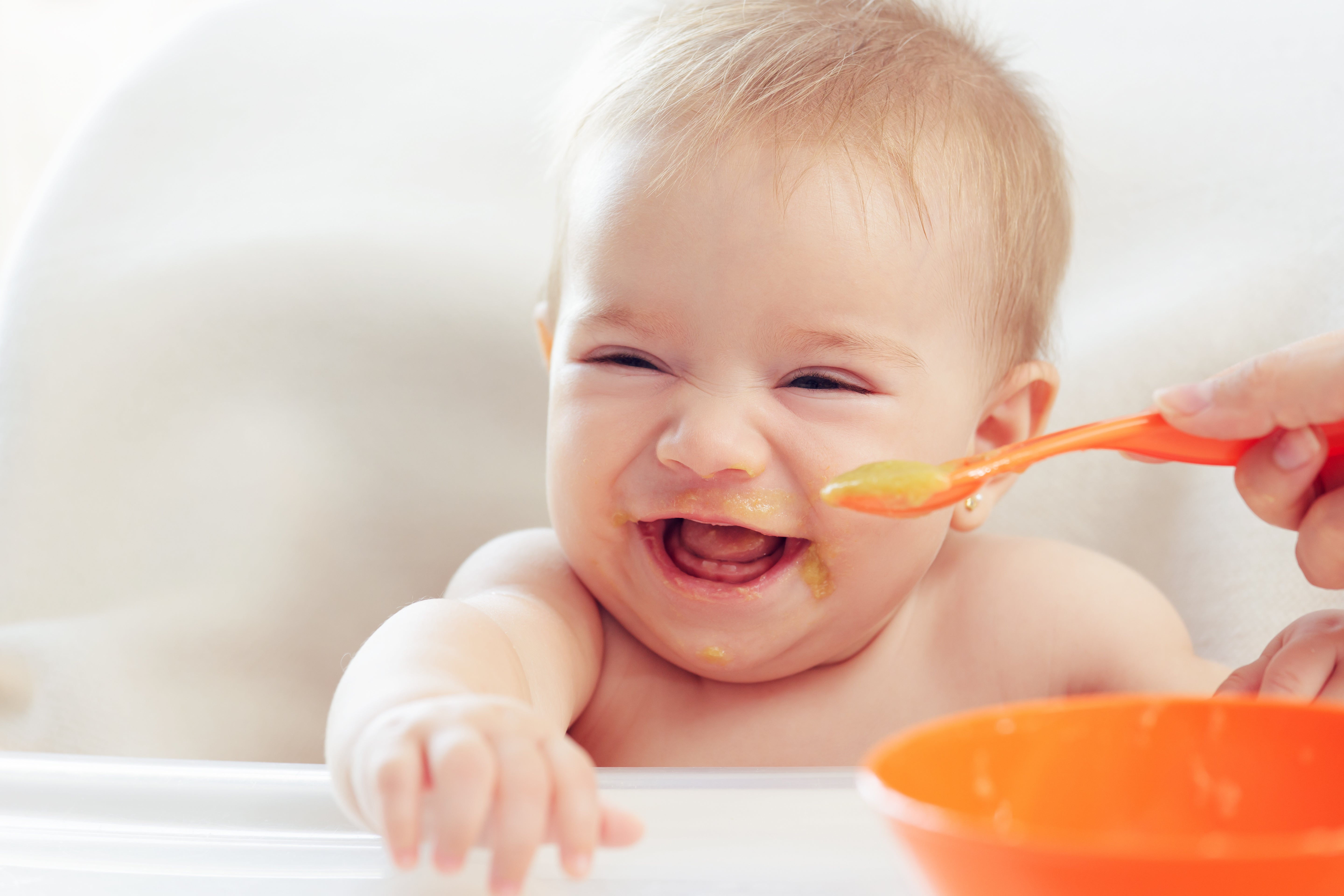 Starting Solids with Your Little One