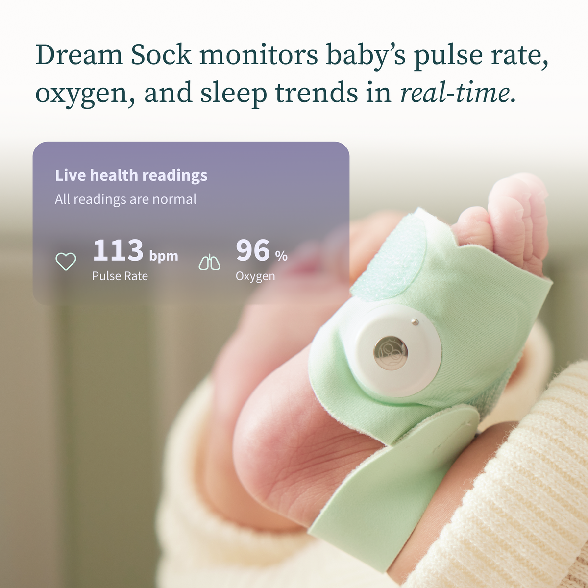 Owlet® Dream Sock