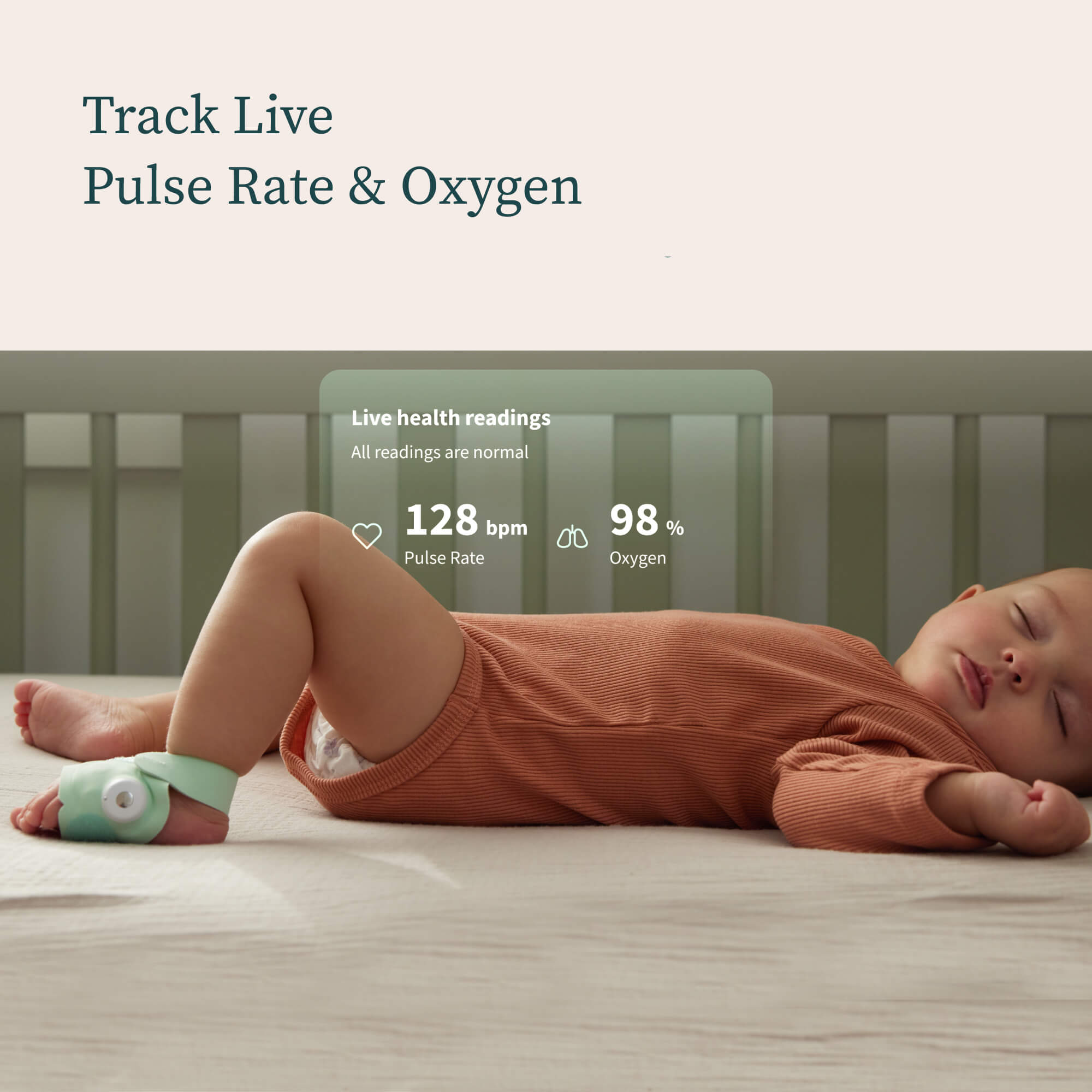 Owlet® Dream Duo