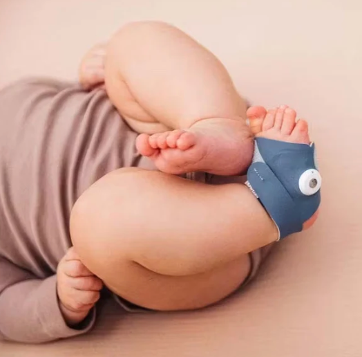 Owlet smart best sale sock norge