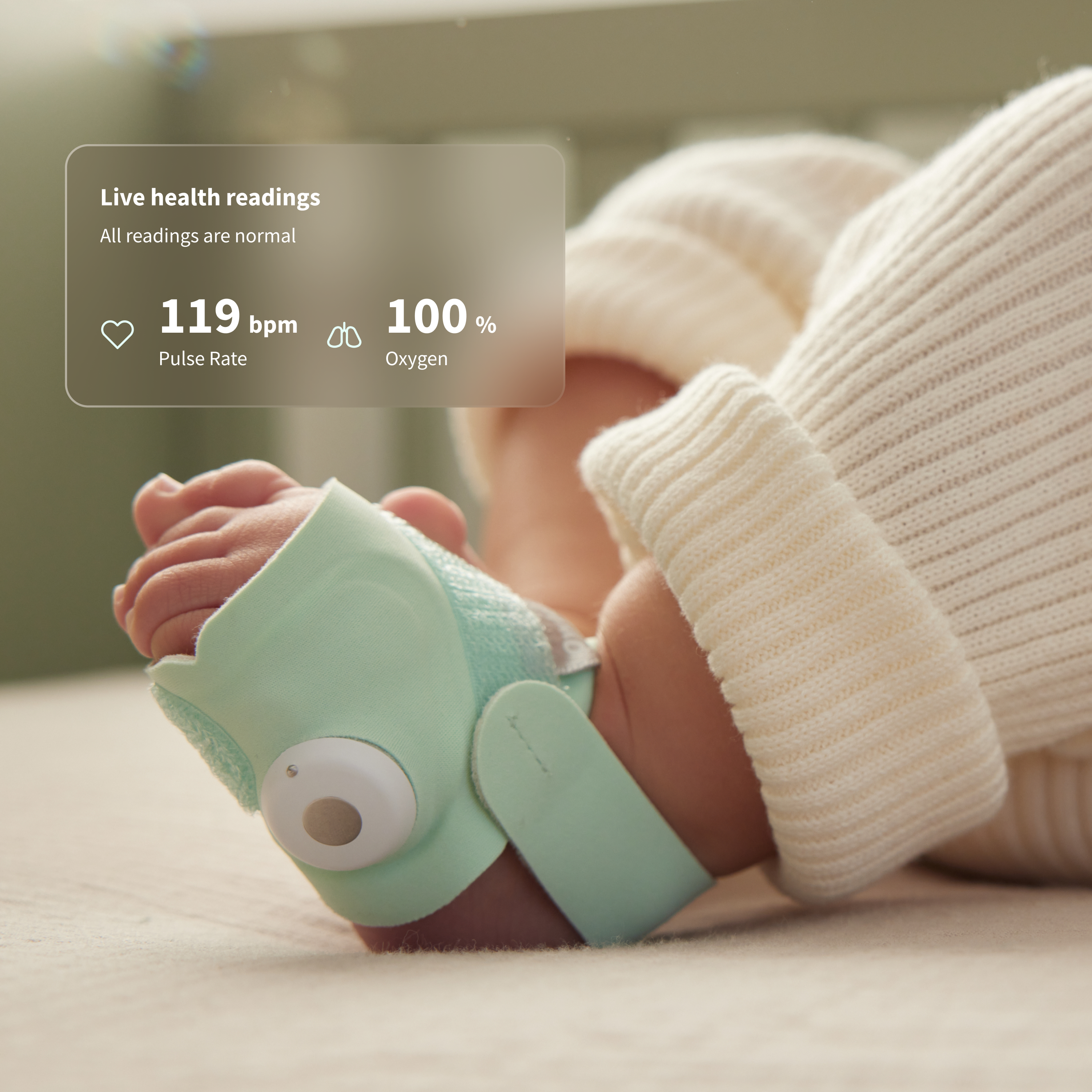 Owlet® Dream Sock