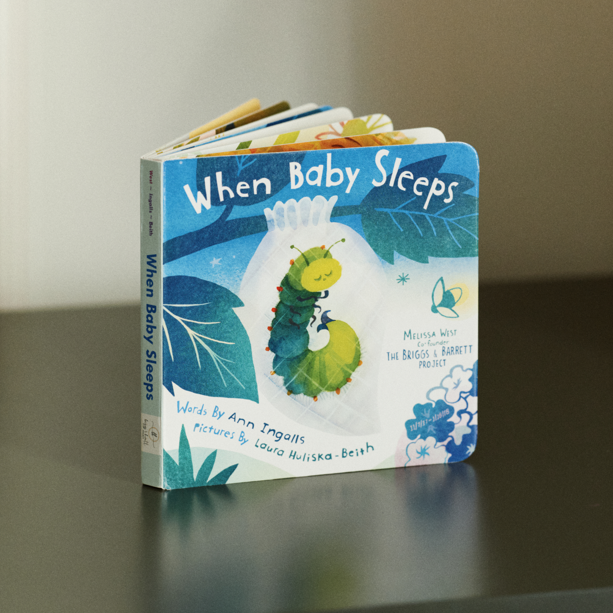 When Baby Sleeps Children's Book